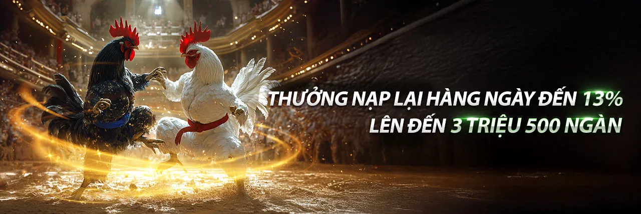 Hình ảnh giới thiệu về đá gà thomo 2026